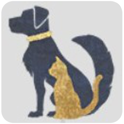 Ancient Dragon Hawk icon