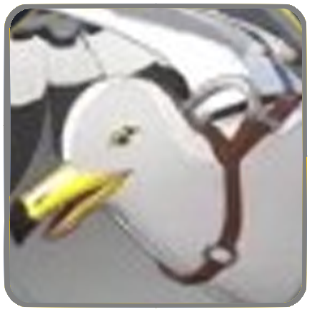 Domesticated Seagull icon